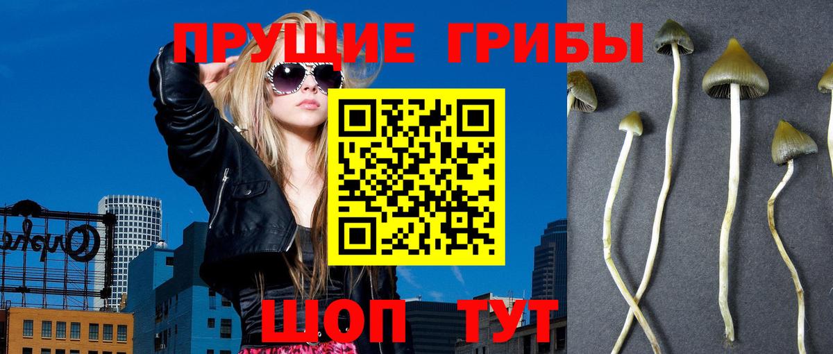 Галлюциногенные грибы GOLDEN TEACHER  Вход с VPN  Киреевск 